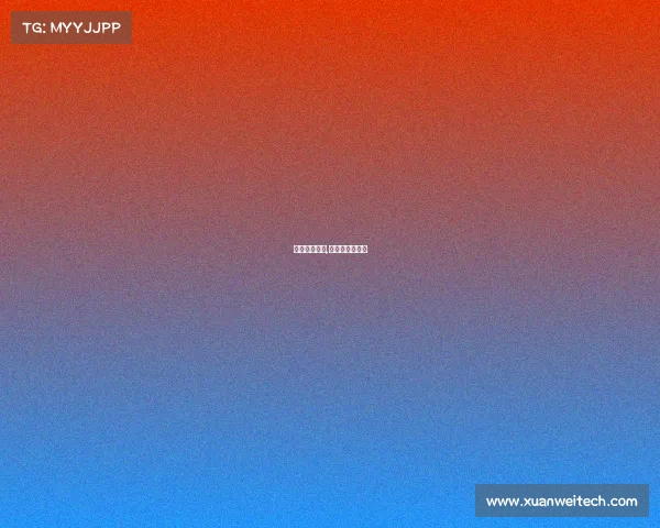 东单篮球赛事,东单篮球时间段